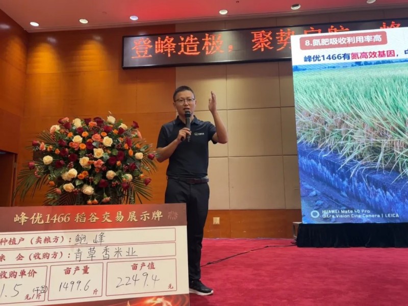 湖南興隆種業有限公司,長沙稻谷種植與銷售,長沙農作物品種的選育,長沙農業病蟲害防治服務